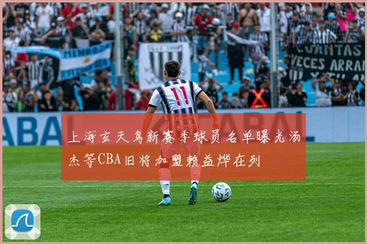 上海玄天鸟新赛季球员名单曝光汤杰等CBA旧将加盟赖益烨在列