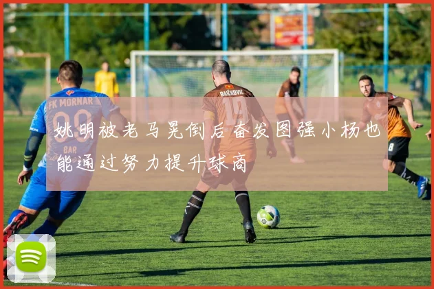 姚明被老马晃倒后奋发图强小杨也能通过努力提升球商